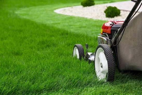 Lawn Care Charleston | Professional Lawn Maintenance & Landscaping
